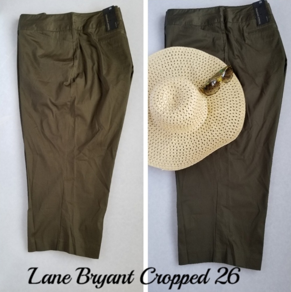 Lane Bryant crops